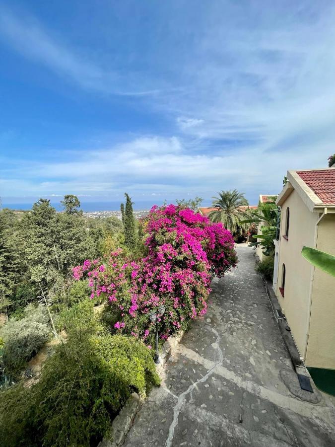 Bellapais Gardens Pansiyon Dış mekan fotoğraf